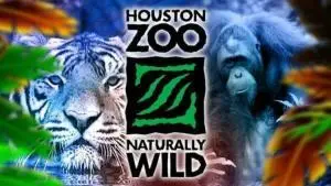 Houston Zoo pic 300x169