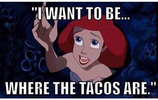 taco tuesday meme