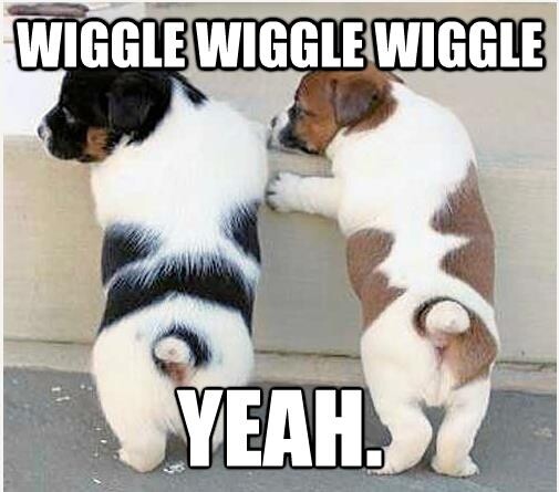 Happy Wednesday I Can See Friday! wiggle wiggle