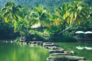 Rivers to Visit In Texas: Your Guide To The Best River Adventure