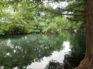 Rivers to Visit In Texas: Your Guide To The Best River Adventure