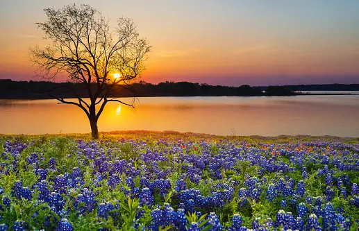 Lakes to Visit in Texas - How to Plan a Texas Road Trip