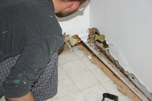 Is Mold in Your Home Damaging Your Property Value?