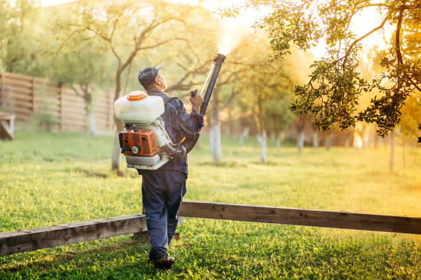 How To Make Your Yard a Bug-Free Zone - A Guide For Beginners