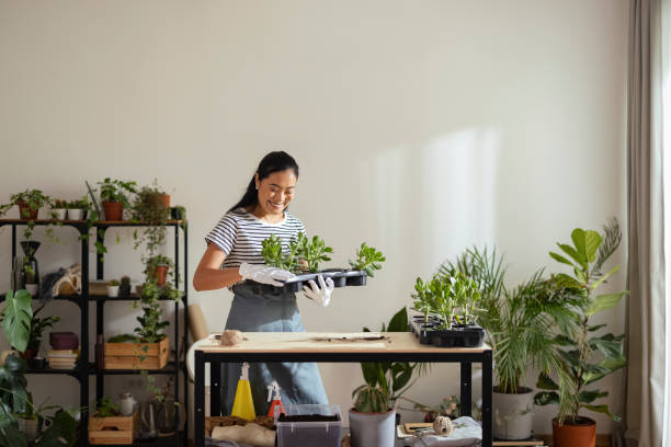 The Benefits of Adding Plants to Your Home